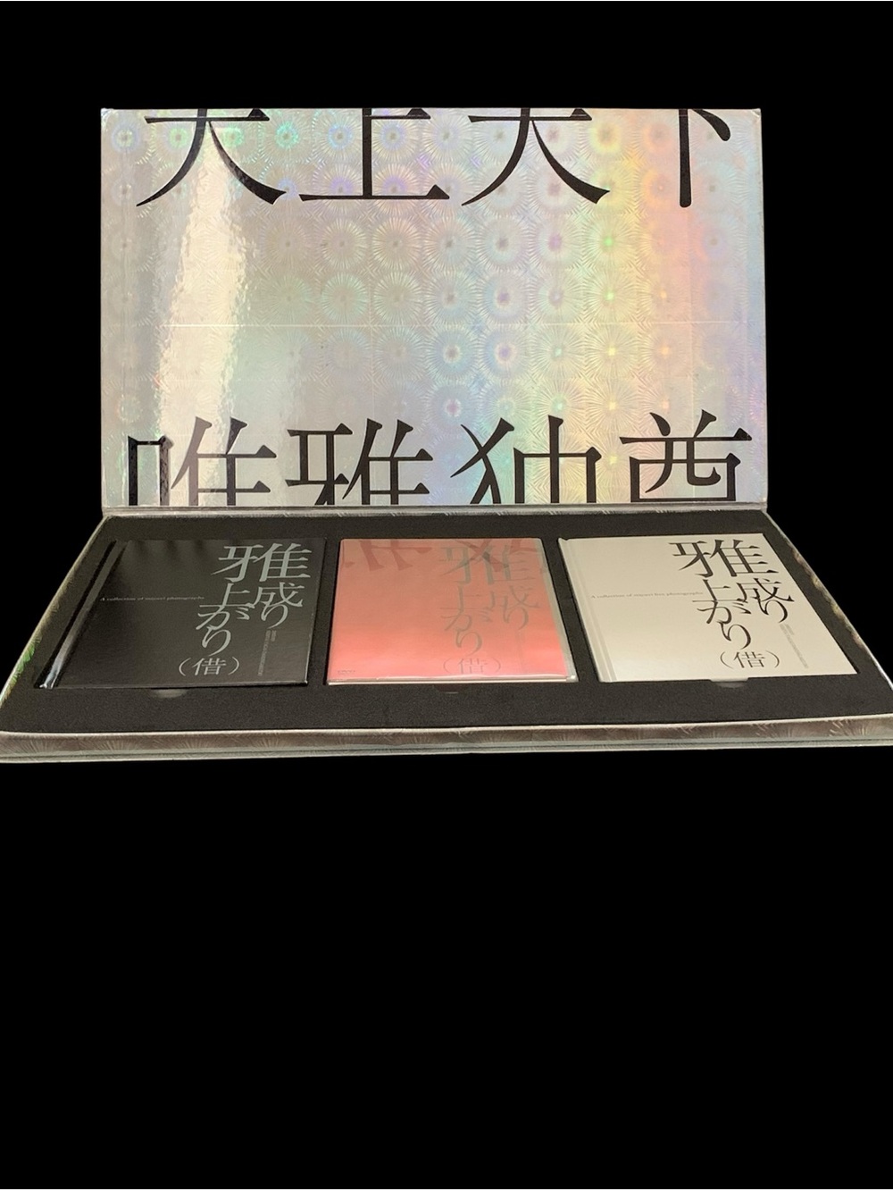 Miyavi - The Rise to Success (Borrowed) Live Venue Limited DVD & Photobook - Picture 3 of 13
